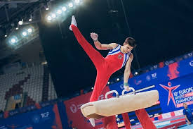 Veselí nad Lužnicí a region VESELSKO