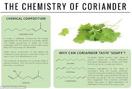 Why Asparagus Makes Your Urine Smell And Onions Make Your Cry Chemistry Organic Chemistry Teaching Chemistry