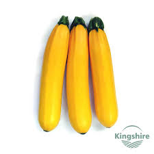 Though not much is known about the difference between the varieties, some say golden zucchini has a sweeter flavor than the green kind. Golden Glory Squash Spineless Yellow Zucchini Seed Buy Zucchini Seed Squash Seed Summer Squash Product On Alibaba Com