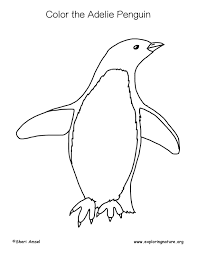 The adélie penguin (pygoscelis adeliae) is a species of penguin common along the entire coast of the antarctic continent, which is its only habitat. Penguin Coloring Pages Pdf