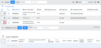 Enable A Hierarchical List Servicenow Docs