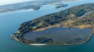 Brownsea island is an internationally important nature reserve featuring rare wildlife, including red squirrels and wading birds. Brownsea Island Red Squirrel Leprosy Study Bbc News