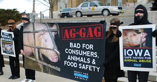 What is animal abuse ? Victory For Free Speech And Animal Welfare As Federal Judge Strikes Down Iowa Ag Gag Law Common Dreams News
