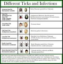 33 Best Lyme Co Infections Viruses Images Lyme Disease