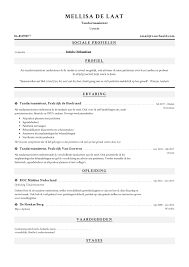 Tandartsassistent Cv Cv Maken Voorbeelden 2022