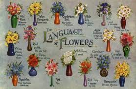 Flower Meanings The Language Of Flowers Flower Meanings Flower Chart Flower Symbol