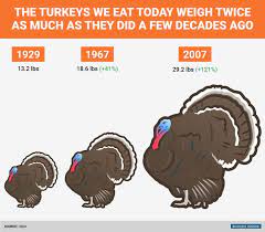 How to figure out how much turkey per person. How Big Turkeys Were Then And Now