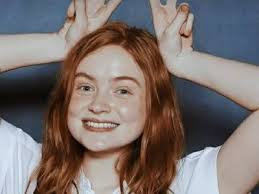 Você Conhece A Sadie Sink?