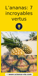 L Ananas 7 Incroyables Vertus Ananas Alimentation Conseil Fruit Vitamins Pineapple