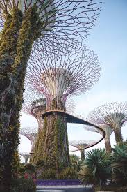 And at the other end of the spectrum, gardens by the bay and the singapore botanic gardens will provide a breath of fresh air. 10 Best Things To Do In Singapore Jess Somewhere Travel Around The World Visit Singapore Singapore Attractions