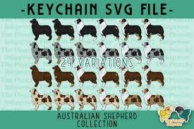 Check spelling or type a new query. Australian Shepherd Collection Svg