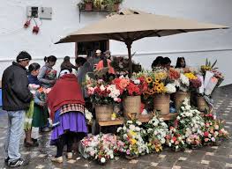 Das land wird nördlich von quito ecuador besitzt eine einzigartige topographie, mehrere klimazonen und eine vielfalt an tieren und pflanzen. Ecuador Wikipedia