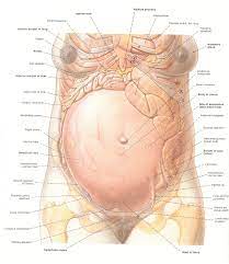 Nov 27, 2019 · from the good (hello, glow!) to the eh (bloating, breakouts, and sore boobs), explore 28 symptoms of pregnancy, along with tips on how to cope and thrive as you grow a human. Pin On Doula Postpartum