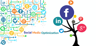 Social Media Optimization (SMO) Segment – Tapping the Potential ...