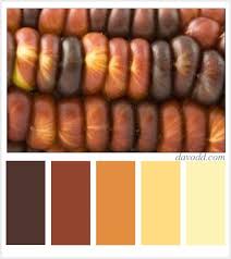 Color Scheme Indian Corn Indian Corn Color Schemes Color