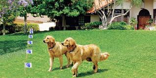 Unlike the shock you feel when you touch a physical electric fence, the. Trade In Your Existing Electronic Dog Fence