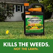 How To Get Rid Of Crabgrass - The Home Depot