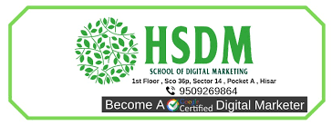 Haryana School of Digital Marketing ...