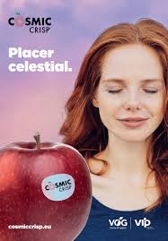 Marzo 2024. Ed. 171 by Revista Mercados