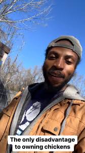 The only disadvantages to owning chickens!! 1.They 💩 a lot !! 2. Them  roosters some mean summa *****! 3. They 💩 a lot a lot !! You gotta wait 20  weeks to get eggs if they babies!! #RP #fypシ ...