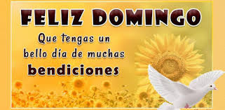Check out their videos, sign up to chat, and join their community. Feliz Domingo Bendiciones On Windows Pc Download Free 2 5 0 Com Angames Felizdomingobendiciones