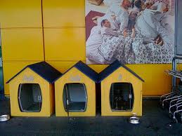 Dog Parking At Ikea Dog Milk Ikea Dog Dog Park Dog Milk