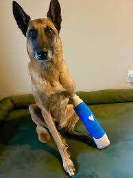 Mahogany Gamble (@mahoganymig) • Instagram photos and videos