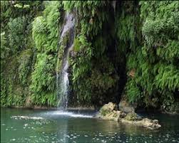 Krause springs has been family owned for over 50 years and is listed on the national registry of historical sites. Krause Springs One Of The Best Swimming Holes In Texas Beautiful Natural Swimming Hole And Camping