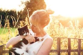 Cats in heat, you will notice your female cat can sometimes be very affectionate than its usual self, may meow for longer durations especially at night and what is the age for cat heating? Heat Stroke In Dogs And Cats What Are The Symptoms In Pets