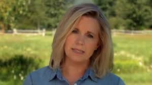 Liz Cheney: 'Dick Cheney Will Be Voting for Kamala Harris' :: Grabien