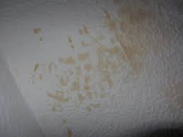 Der luftstrom streift im bogen an der außenecke vorbei, wodurch diese ecke weniger erwärmt wird. Braune Flecken An Der Wand Ist Es Schimmel Putzen Reinigen Renovieren