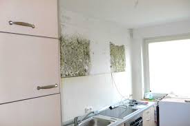 Der entsteht tatsächlich auch relativ schnell, sodass es wichtig ist, ihn regelmäßig zu reinigen. Schimmel Hinter Der Einbaukuche