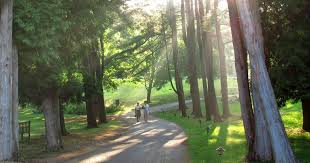 As you can see, new york state is also filled with outstanding beauty, diverse scenery, and a variety of incredible wellness experiences. 5 Affordable Yoga Getaways Near Nyc The Journiest