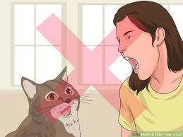May 06, 2021 · mini lop rabbits are known for their sweet nature and hardy constitution, qualities that make them excellent pets. How To Brush A Cats Teeth Wikihow Teethwalls