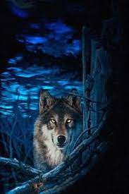 Blue Night Wolf Live Wallpaper For Android Wolf Wallpaper Wolf Pictures Wolf Spirit Animal