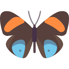 Butterfly Outline Design From Top View Vector Svg Icon Svg Repo
