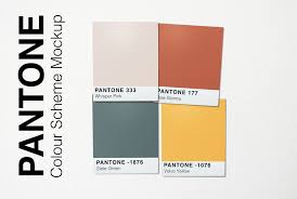 Pantone Colour Scheme Mockup Pantone Pantone Color Mockup Templates