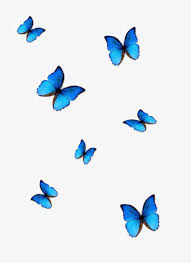 Mas Actual Gratis Flores Fondos De Frases Estrategias 50 Anos Y A Todo Gas Podria S In 2020 Butterfly Wallpaper Iphone Butterfly Wallpaper Blue Butterfly Wallpaper