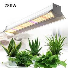 Small flowering indoor plants uk. Lighting Growing Light Fixtures 1000w For Indoor Plants Veg Flower Led Grow Light Uk Plug Veg Bloom Double Switch Grow Lamp Round Growing Light Full Spectrum Plant Light Kigyoshitara Com