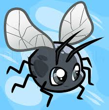 How to draw a feather easy steps. How To Draw A Fly For Kids Step By Step Drawing Guide By Dawn Dragoart Com
