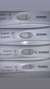 Extensive donor background checks & medical screenings. Our Journey To Baby 3 House Of Harper House Of Harper