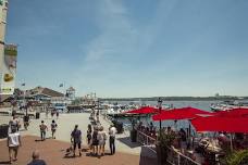 Flavors & Sounds of Croatia – Alexandria