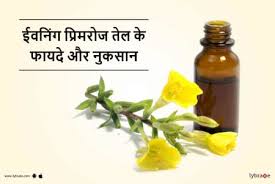 Evening Primrose Oil Benefits And Side Effects In Hindi ईवन ग प र मर ज त ल क फ यद और न कस न