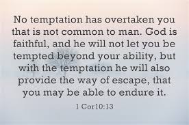 We did not find results for: Top 7 Bible Verses For Those Feeling Trapped Jack Wellman