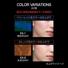 Kate Transform Cheek Ex-2 Blush Palette for Radiant Cheeks