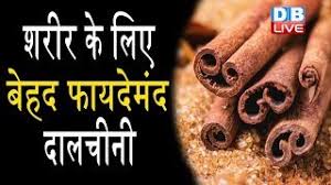 À¤¦ À¤²à¤ À¤¨ À¤ À¤« À¤¯à¤¦ Dalchini Ke Faayde Health Benefits Of Dalchini Healthlive Video Id 361d979b7f39cd Veblr Mobile