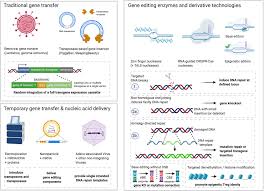 We did not find results for: Frontiers Super Treg Toward A New Era Of Adoptive Treg Therapy Enabled By Genetic Modifications Immunology