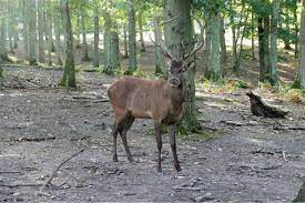 Cider farm cottages to your lists. La Trinite Des Laitiers Orne Greve Des Avocats Le Proces Besson Reporte