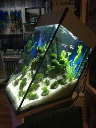 So Love This Aquarium Fish Tank Amazing Aquariums Aquarium