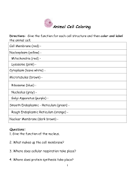 Per our discussion, if each organelle (plant or animal) represented a part of a typical city, what would it be? Animal Cell Coloring